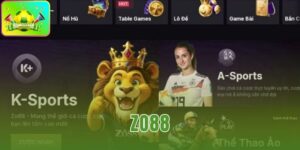 Zo88